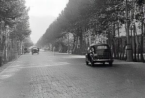 خیابان تهران قدیم